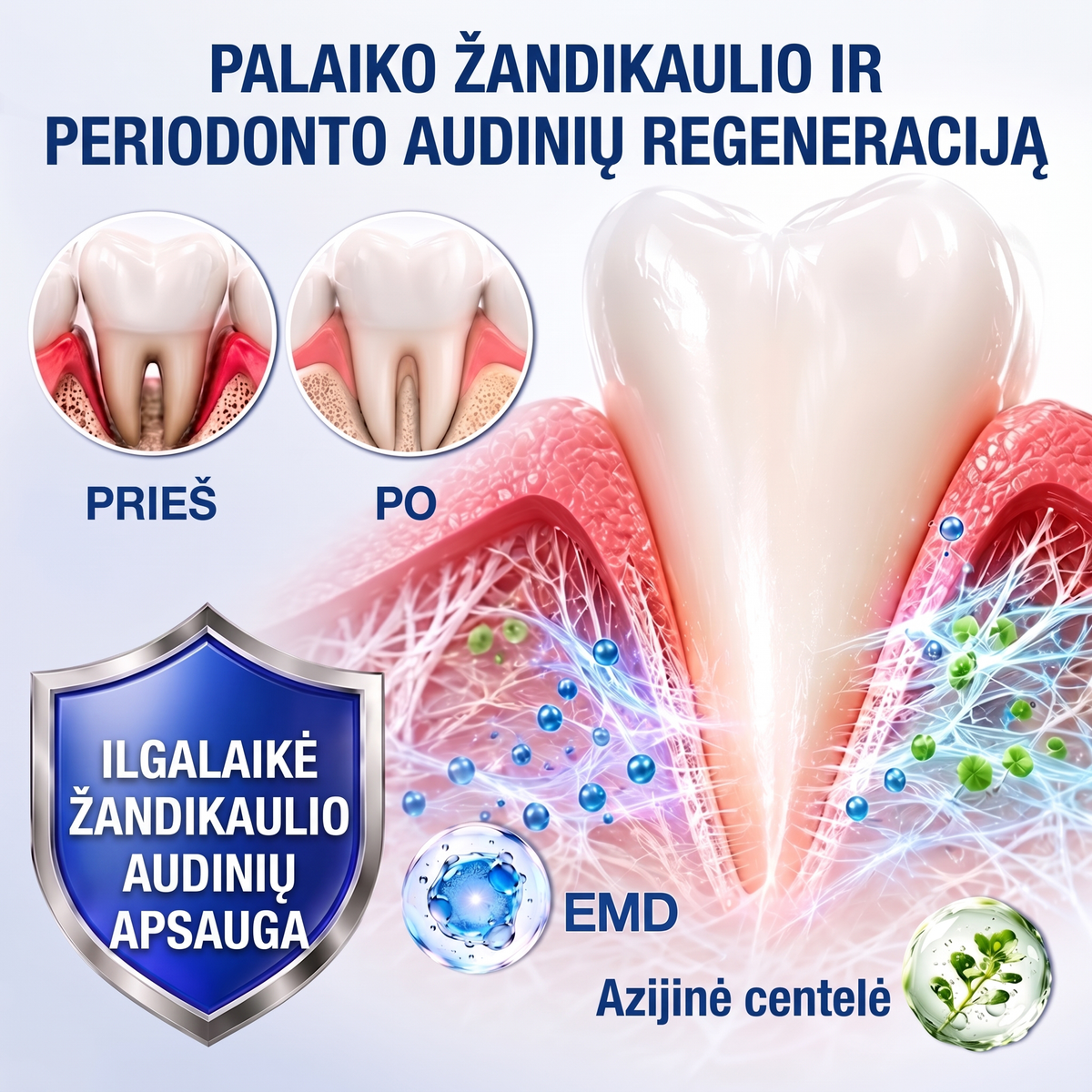 🦷 𝐏𝐮𝐫𝐚𝐂𝐮𝐫𝐞® DANTENŲ ATKŪRIMAS – Periodonto audinių regeneracijos gelis 🧂